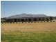 300 Nash Street, Parkes NSW 2870