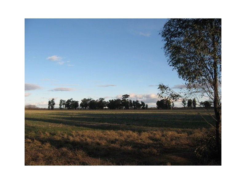 Lot 1 Warregal Road, Tichborne NSW 2870