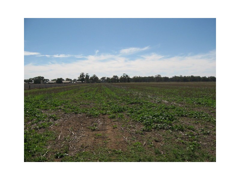 Lot 2 Warregal Road, Tichborne NSW 2870