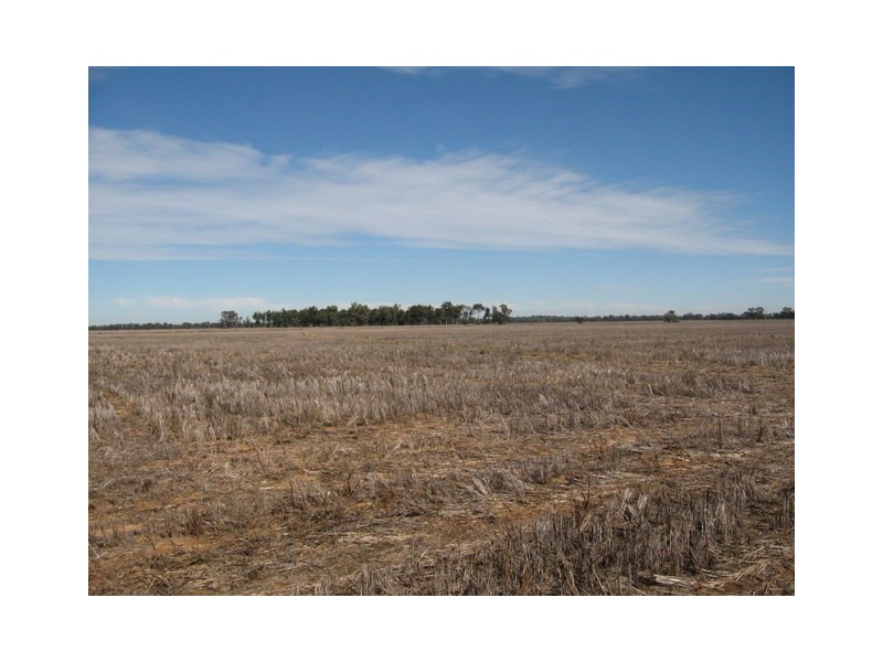 Lot 2 Warregal Road, Tichborne NSW 2870