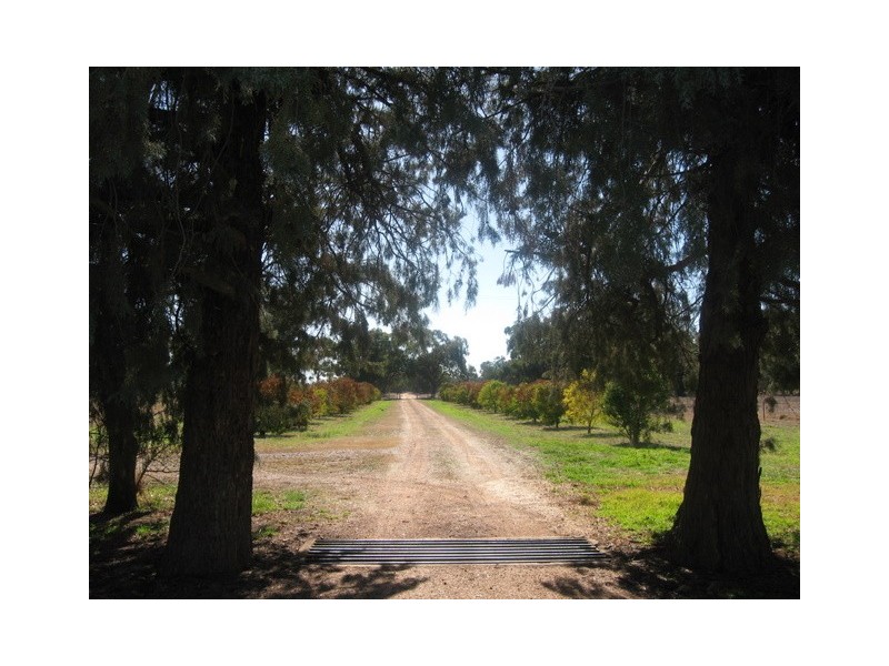 Lot 2 Warregal Road, Tichborne NSW 2870