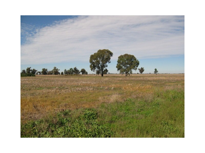 Lot 4 Warregal Road, Tichborne NSW 2870