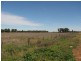 Lot 4 Warregal Road, Tichborne NSW 2870