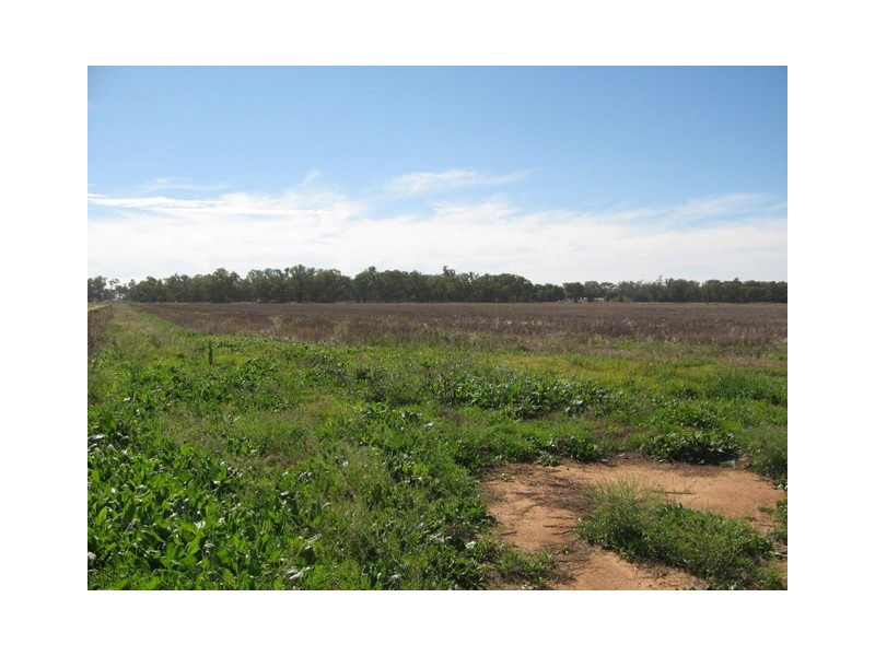 Lot 4 Warregal Road, Tichborne NSW 2870