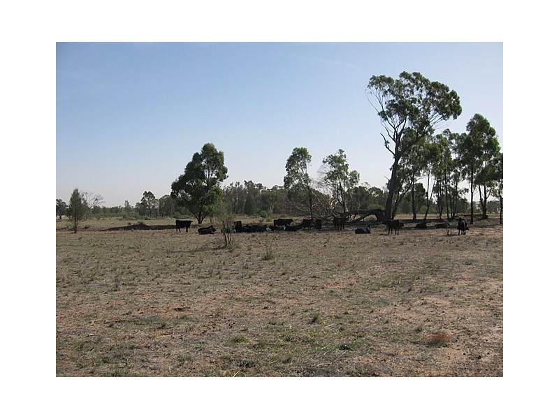 Goonumbla NSW 2870