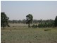Goonumbla NSW 2870