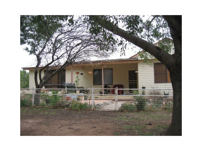 Peak Hill NSW 2869