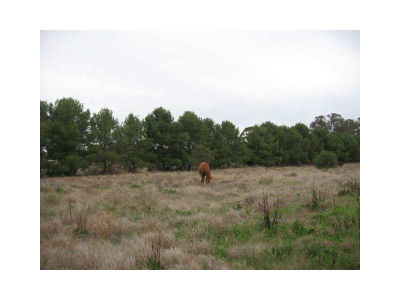 Peak Hill NSW 2869