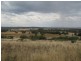 105 Cons Lane, Parkes NSW 2870