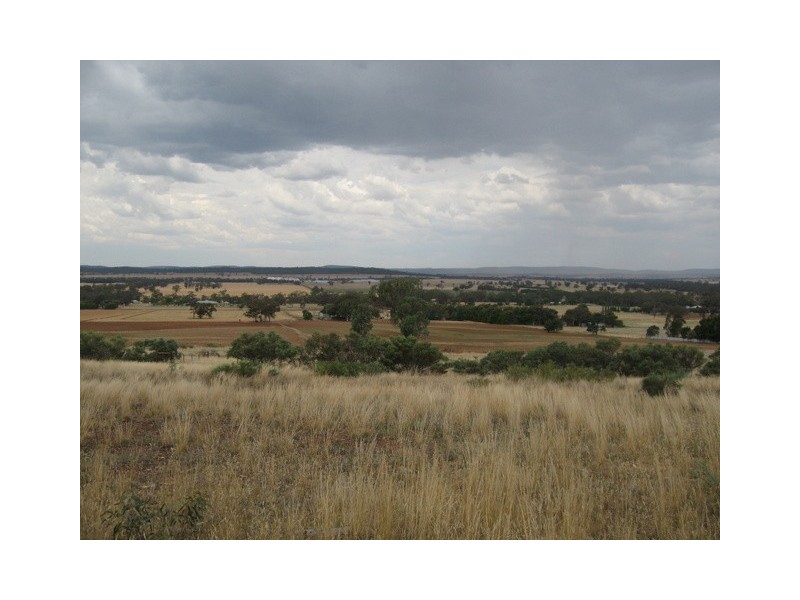 105 Cons Lane, Parkes NSW 2870