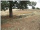 105 Cons Lane, Parkes NSW 2870