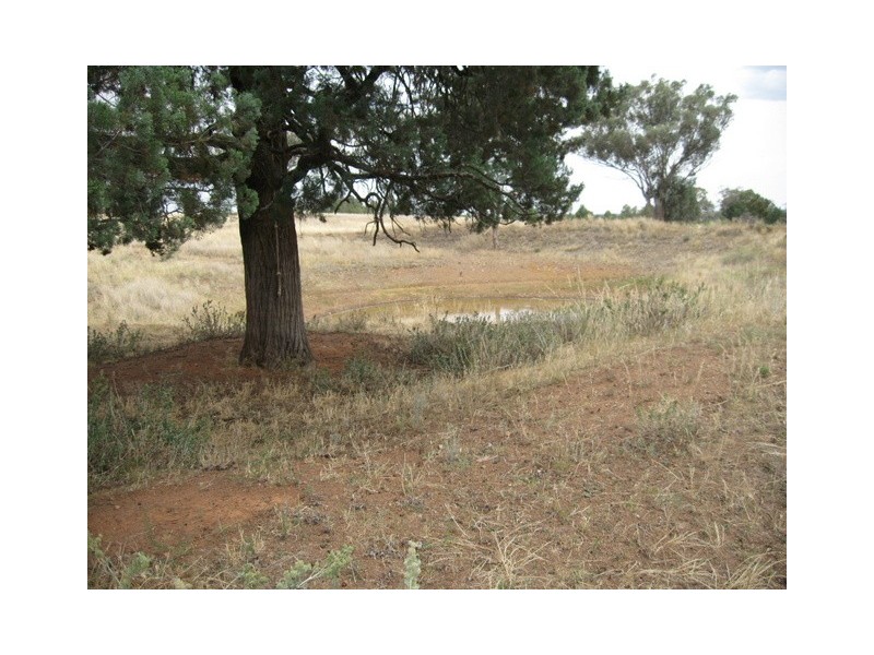105 Cons Lane, Parkes NSW 2870