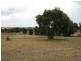 105 Cons Lane, Parkes NSW 2870
