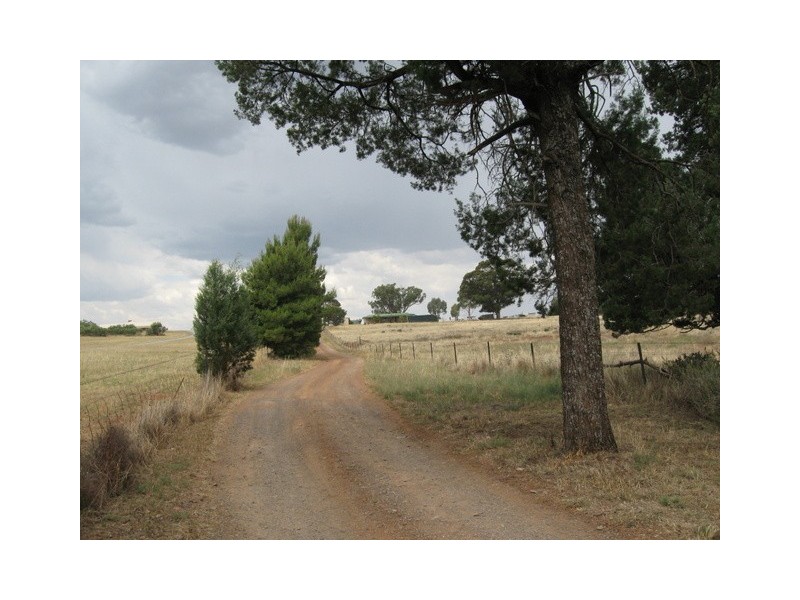 105 Cons Lane, Parkes NSW 2870