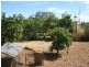 13 Macarthur Street, Parkes NSW 2870