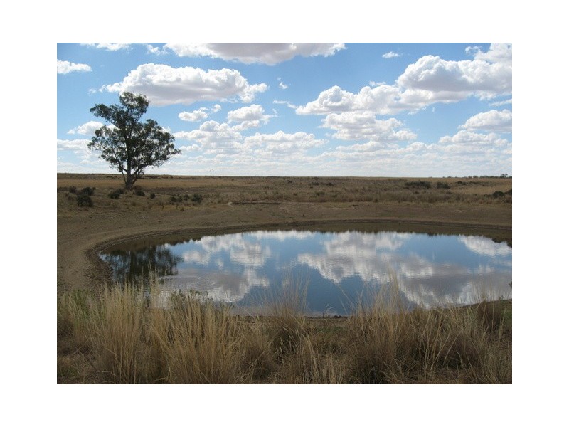 0 ‘Hillview’, Peak Hill NSW 2869