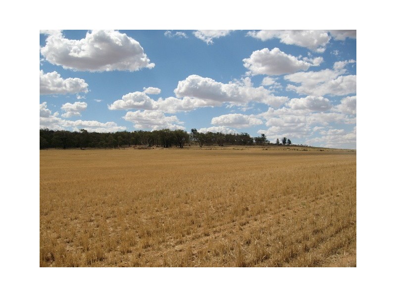 0 ‘Hillview’, Peak Hill NSW 2869