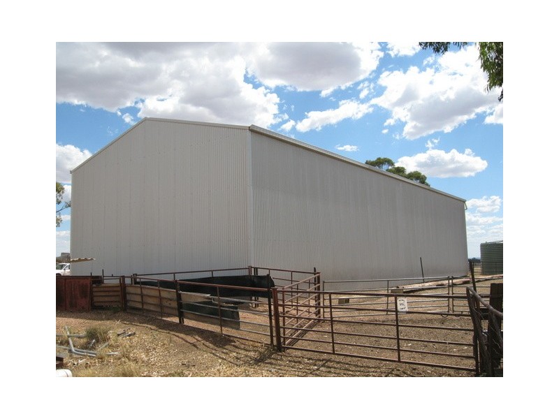 0 ‘Hillview’, Peak Hill NSW 2869