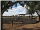 0 ‘Hillview’, Peak Hill NSW 2869