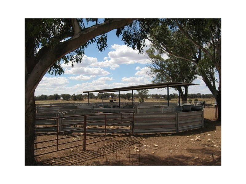 0 ‘Hillview’, Peak Hill NSW 2869