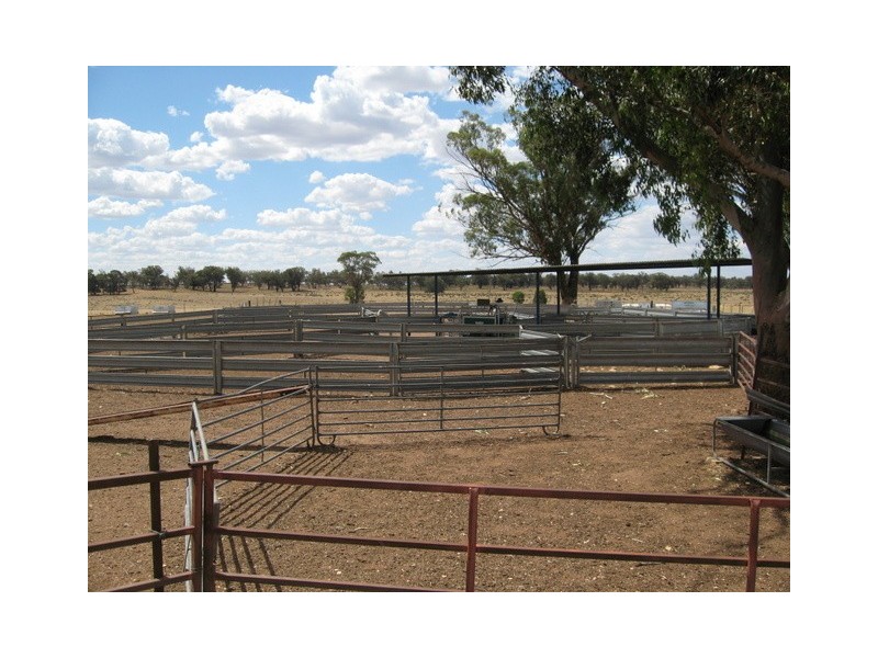 0 ‘Hillview’, Peak Hill NSW 2869