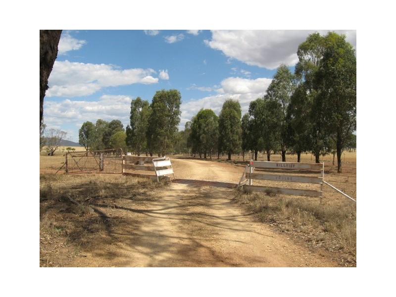 0 ‘Hillview’, Peak Hill NSW 2869