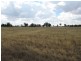 Lot 56 Heraghty, Parkes NSW 2870