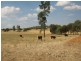 79 Maguire Road, Parkes NSW 2870