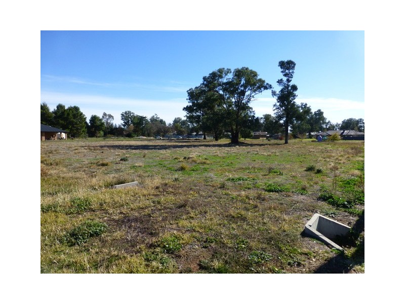 5 Lighthorse Lane, Parkes NSW 2870