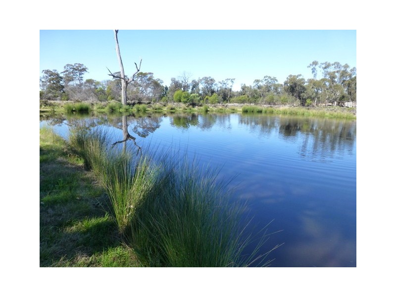 Tullamore NSW 2874