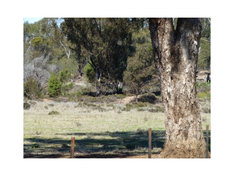 Tullamore NSW 2874