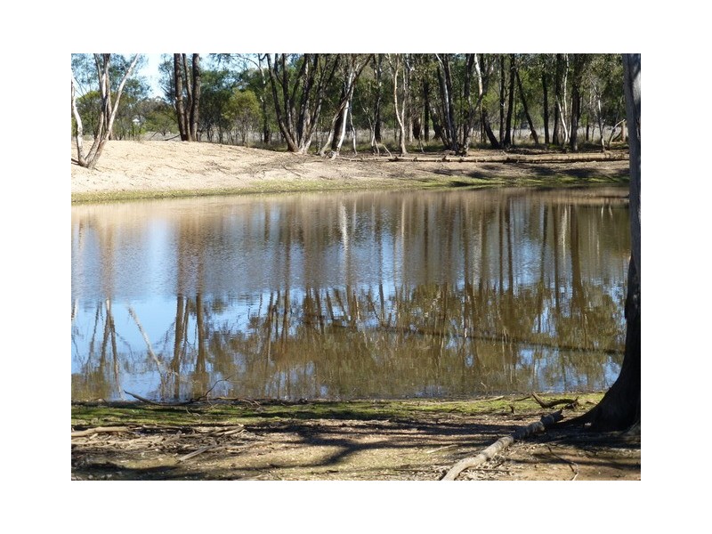 Tullamore NSW 2874