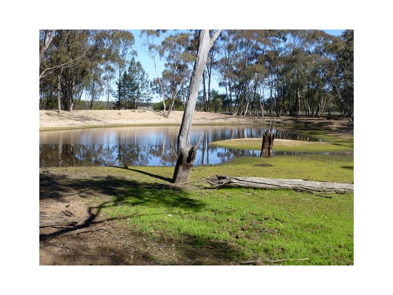 Tullamore NSW 2874