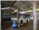 Tullamore NSW 2874