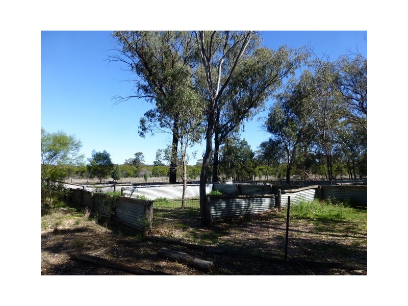 Tullamore NSW 2874