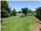 13 Webb Street, Parkes NSW 2870
