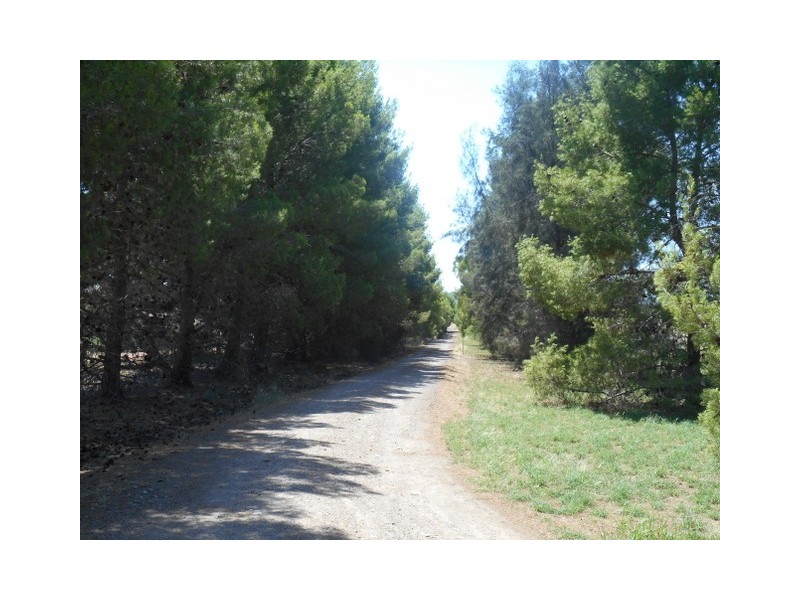 276 Back Yamma Road, Parkes NSW 2870