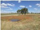 177 Cons Lane, Parkes NSW 2870
