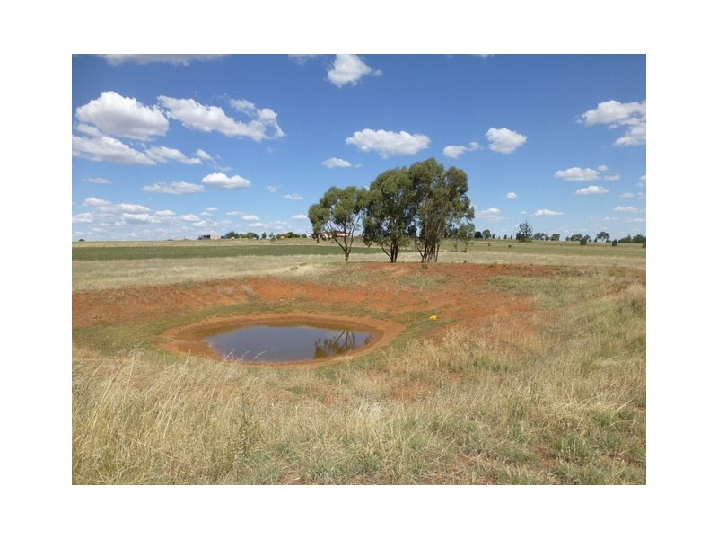 177 Cons Lane, Parkes NSW 2870