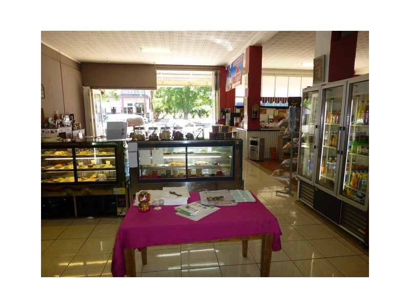 96 Caswell Street, Peak Hill NSW 2869