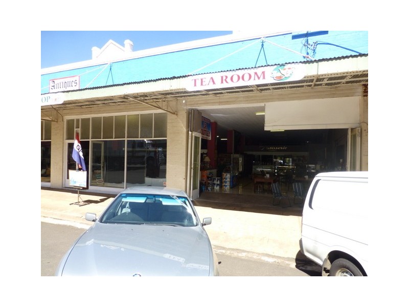 96 Caswell Street, Peak Hill NSW 2869