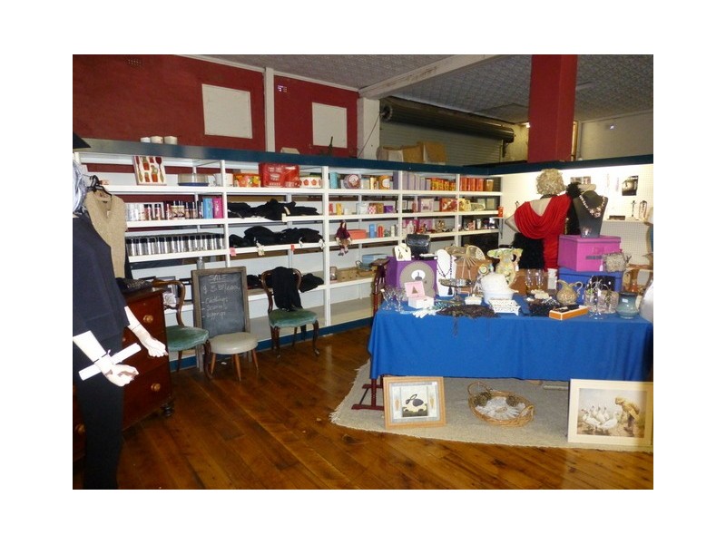 96 Caswell Street, Peak Hill NSW 2869