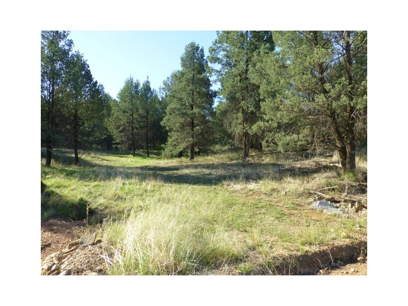 130 Heraghty Road, Parkes NSW 2870