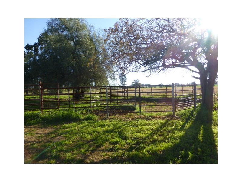 79 Maguire Road, Parkes NSW 2870