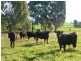 79 Maguire Road, Parkes NSW 2870
