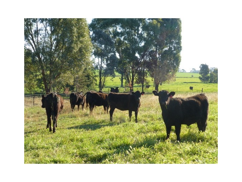79 Maguire Road, Parkes NSW 2870