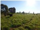 79 Maguire Road, Parkes NSW 2870