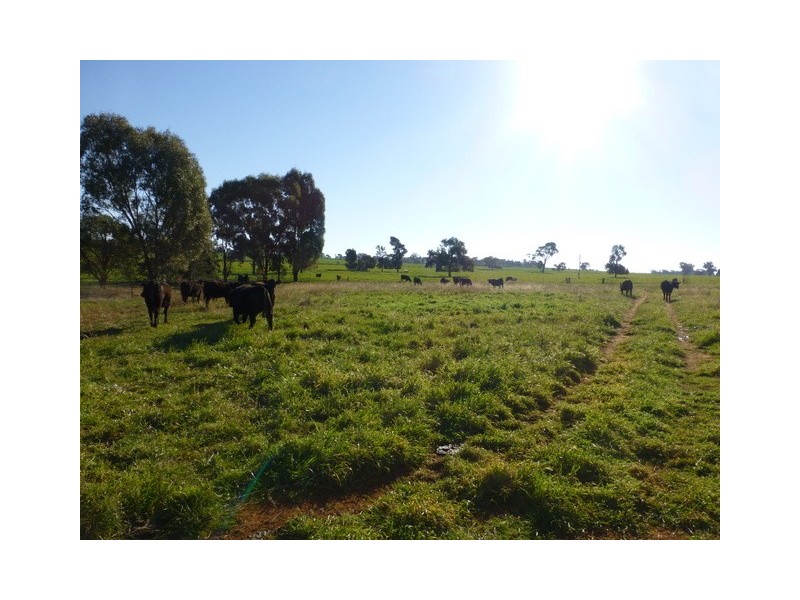 79 Maguire Road, Parkes NSW 2870