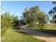 79 Maguire Road, Parkes NSW 2870