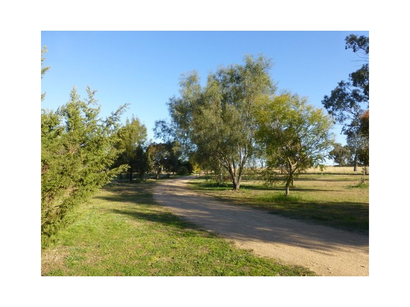 79 Maguire Road, Parkes NSW 2870
